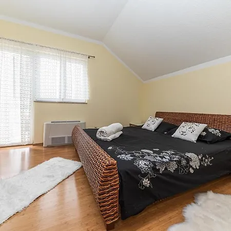 Urban فيلة تروغير